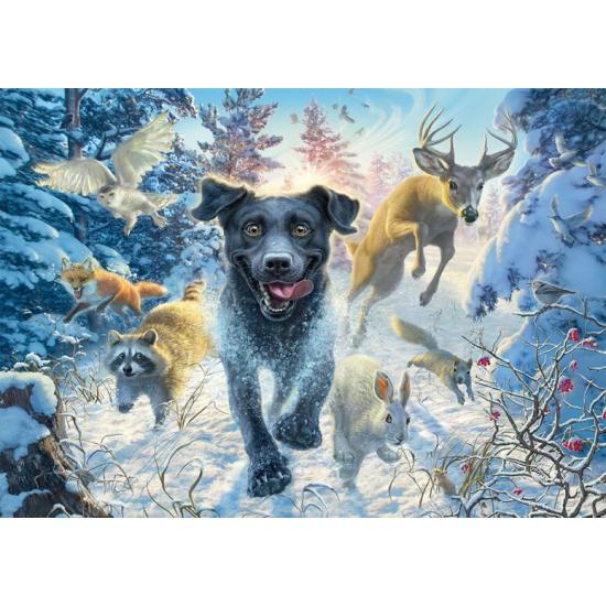 Puzzle Schmidt Un Labrador Negro en la Nieve 1000 Pzs