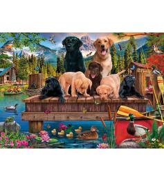 Puzzle Schmidt Una Familia De Perros En El Lago 1000 Piezas