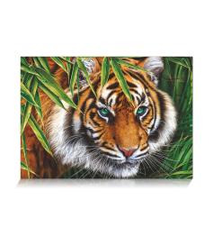 Puzzle Star Mirada de Tigre de 500 Piezas