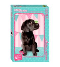 Puzzle Step Puzzle Cachorro Negro de 1000 Piezas