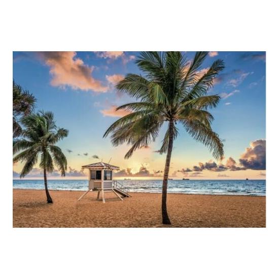 Puzzle Step Puzzle Fort Lauderdale, Florida de 3000 Piezas
