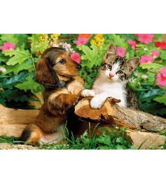 Puzzle Step Puzzle Gatito y Perrito de 160 Piezas