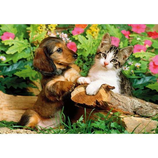 Puzzle Step Puzzle Gatito y Perrito de 160 Piezas Puzzle Step Puzzle Gatito y Perrito de 160 Piezas