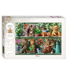 Puzzle Step Puzzle Gatitos en el Estante de 1500 Piezas