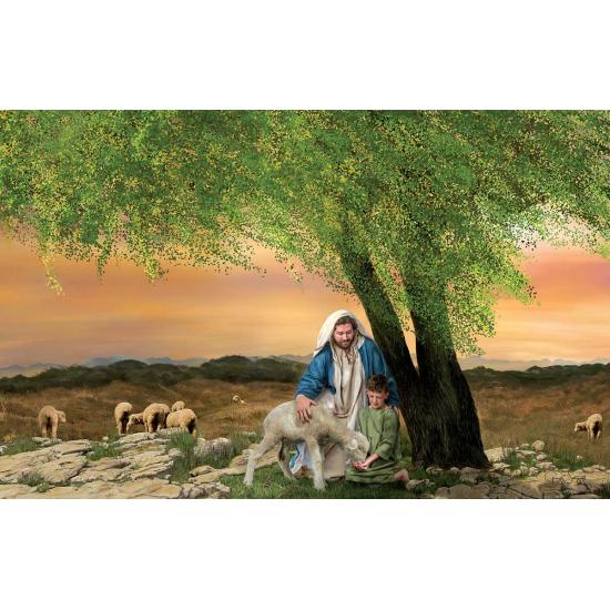 Puzzle SunsOut Alimenta a mis Corderos de 1000 Piezas