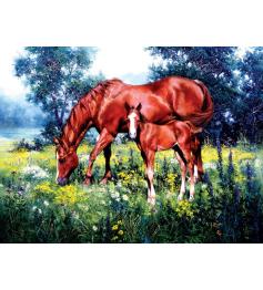 Puzzle SunsOut Caballos y Margaritas de 1000 Piezas