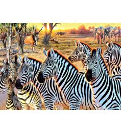 Puzzle SunsOut Cebras Y Amigos XXL de 500 Piezas