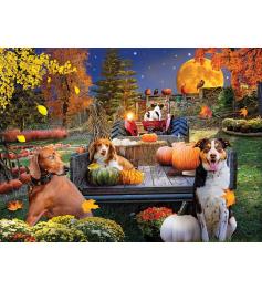 Puzzle SunsOut Cosecha de Calabazas para Halloween de 1000 Pzs