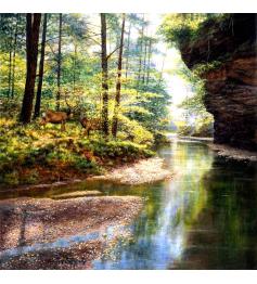 Puzzle SunsOut El Bosque Tranquilo de 1000 Piezas