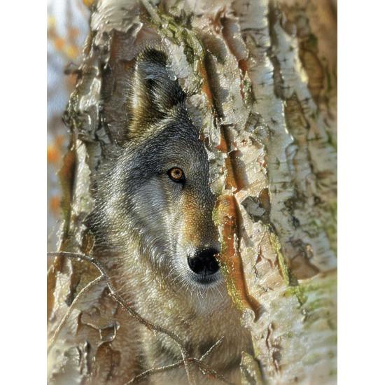 Puzzle SunsOut Encuentro con el Lobo XXL de 500 Piezas Puzzle SunsOut Encuentro con el Lobo XXL de 500 Piezas