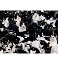 Puzzle SunsOut Gatitos en Blanco y Negro de 1000 Piezas