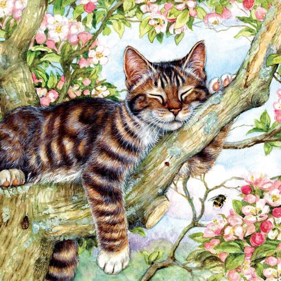 Puzzle SunsOut Gato Dormilón de 500 Piezas Puzzle SunsOut Gato Dormilón de 500 Piezas