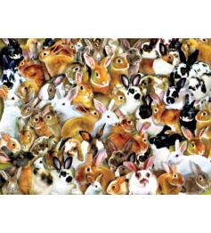 Puzzle SunsOut Grupo de Conejos de 1000 Piezas