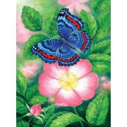 Puzzle SunsOut La Mariposa Azul de 1000 Pzs