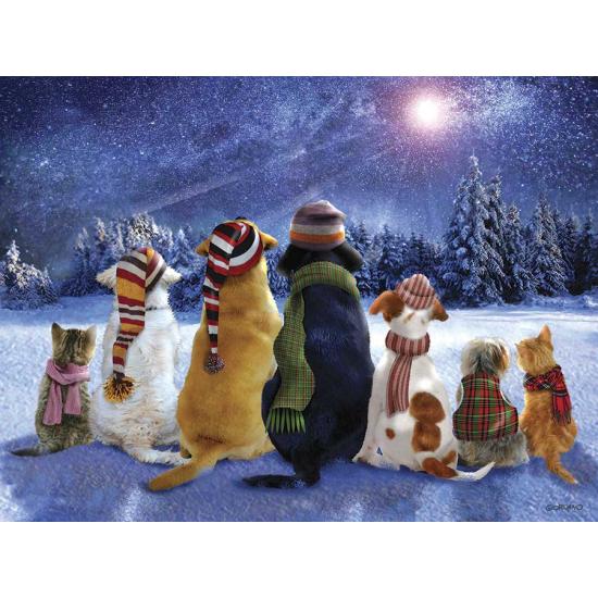 Puzzle SunsOut Pídeselo a la Estrella Fugaz de 1000 Piezas