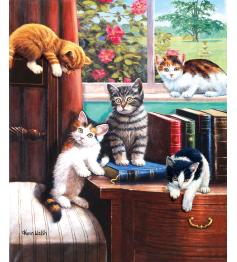 Puzzle SunsOut Tiempo de Juego en el Estudio de 1000 Pzs