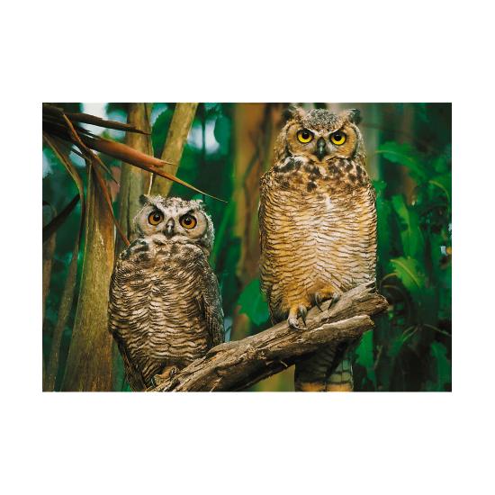 Puzzle Trefl Búhos de 1000 Piezas