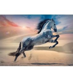 Puzzle Trefl Caballo Majestuoso de 1000 Piezas