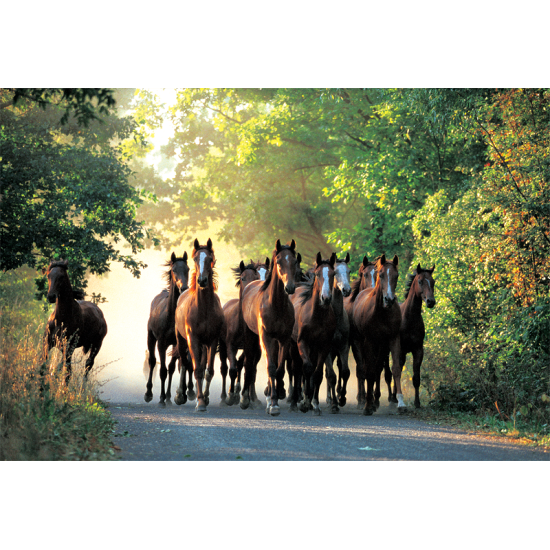 Puzzle Trefl Caballos al Galope de 1000 Piezas