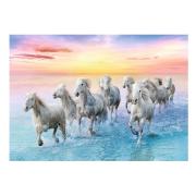 Puzzle Trefl Caballos Balncos al Galope de 500 Piezas