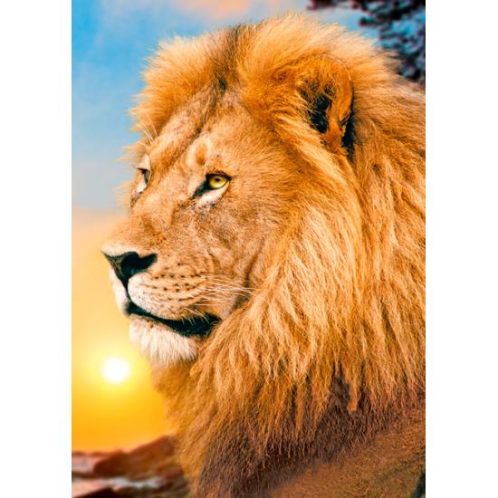 Puzzle Trefl Cabeza de León de 500 Piezas Puzzle Trefl Cabeza de León de 500 Piezas