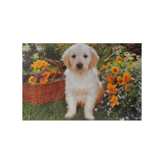Puzzle Trefl Cachorro de Labrador en el Jardín de 500 Piezas Puzzle Trefl Cachorro de Labrador en el Jardín de 500 Piezas
