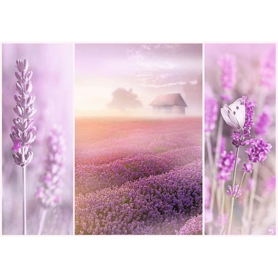 Puzzle Trefl Campos de Lavandas de 1000 Piezas