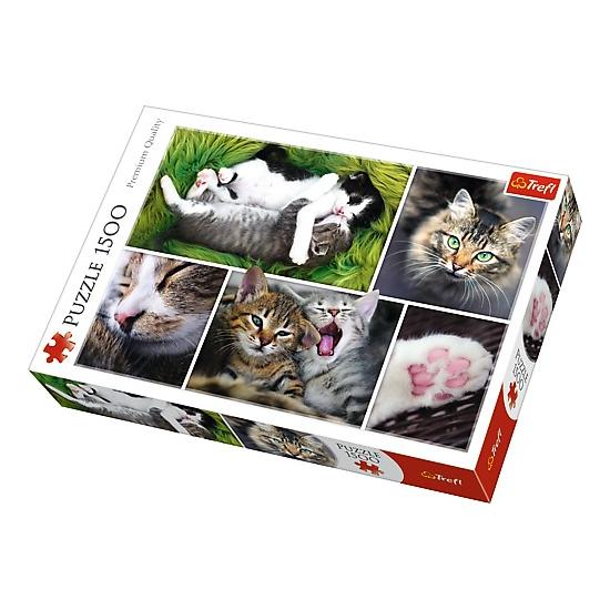 Puzzle Trefl Cosas de Gatos de 1500 Piezas