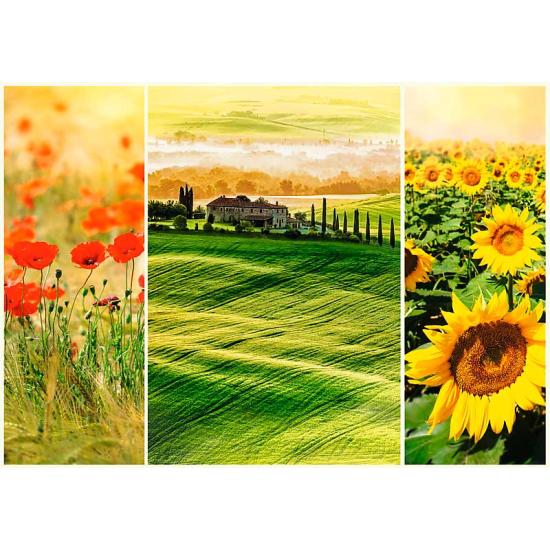 Puzzle Trefl El Sol de la Toscana de 1000 Piezas