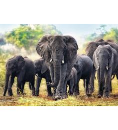 Puzzle Trefl Elefantes Africanos de 1000 Piezas