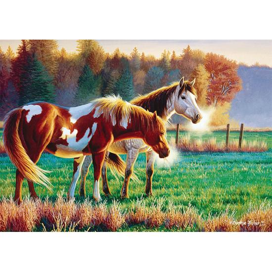 Puzzle Trefl Fria Mañana en el Prado de 1000 Piezas