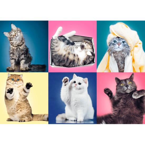 Puzzle Trefl Gatitos de 500 Piezas Puzzle Trefl Gatitos de 500 Piezas