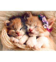 Puzzle Trefl Gatitos Durmiendo de 500 Piezas