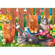 Puzzle Trefl Gatitos en el Jardín de 500 Piezas