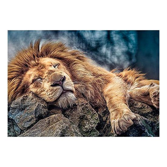 Puzzle Trefl León Durmiendo de 1000 Piezas