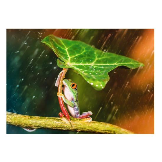 Puzzle Trefl Paraguas Verde de 500 Piezas Puzzle Trefl Paraguas Verde de 500 Piezas