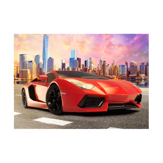 Puzzle Trefl Paseo al Atardecer de 1000 Piezas