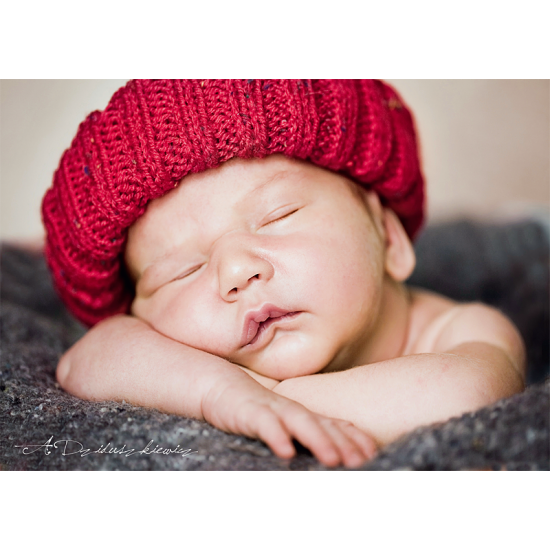 Puzzle Trefl Pequeña Siesta de 500 Piezas