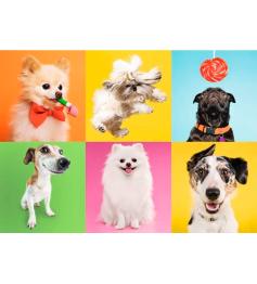 Puzzle Trefl Perritos de 500 Piezas