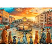 Puzzle Trefl Perros en Venecia de 1000 Piezas