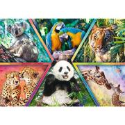 Puzzle Trefl Reino Animal de 1000 Piezas