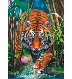 Puzzle Trefl Tigre Entre las Hierbas de 1000 Piezas